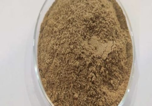 WhatsApp Image 2025-03-07 at 09.48.55