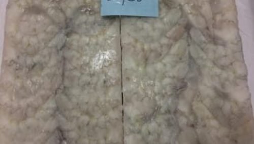 WhatsApp Image 2025-03-07 at 09.54.03